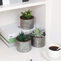 Mini wrought iron desktop planter for succulents