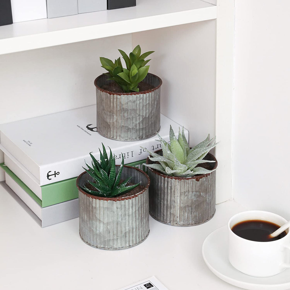 Mini wrought iron desktop planter for succulents