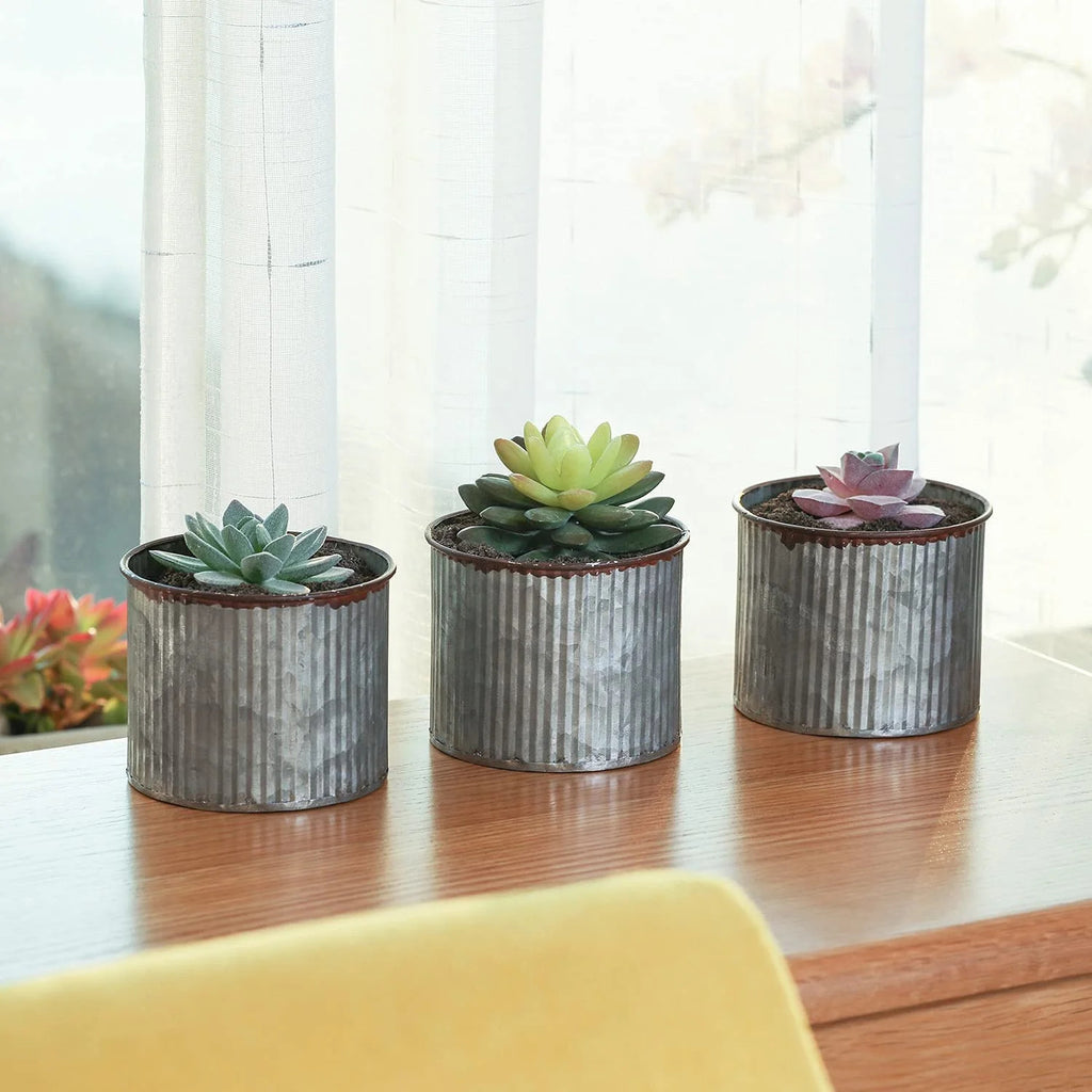Mini wrought iron desktop planter for succulents